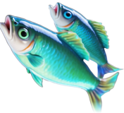 Geh fischen
